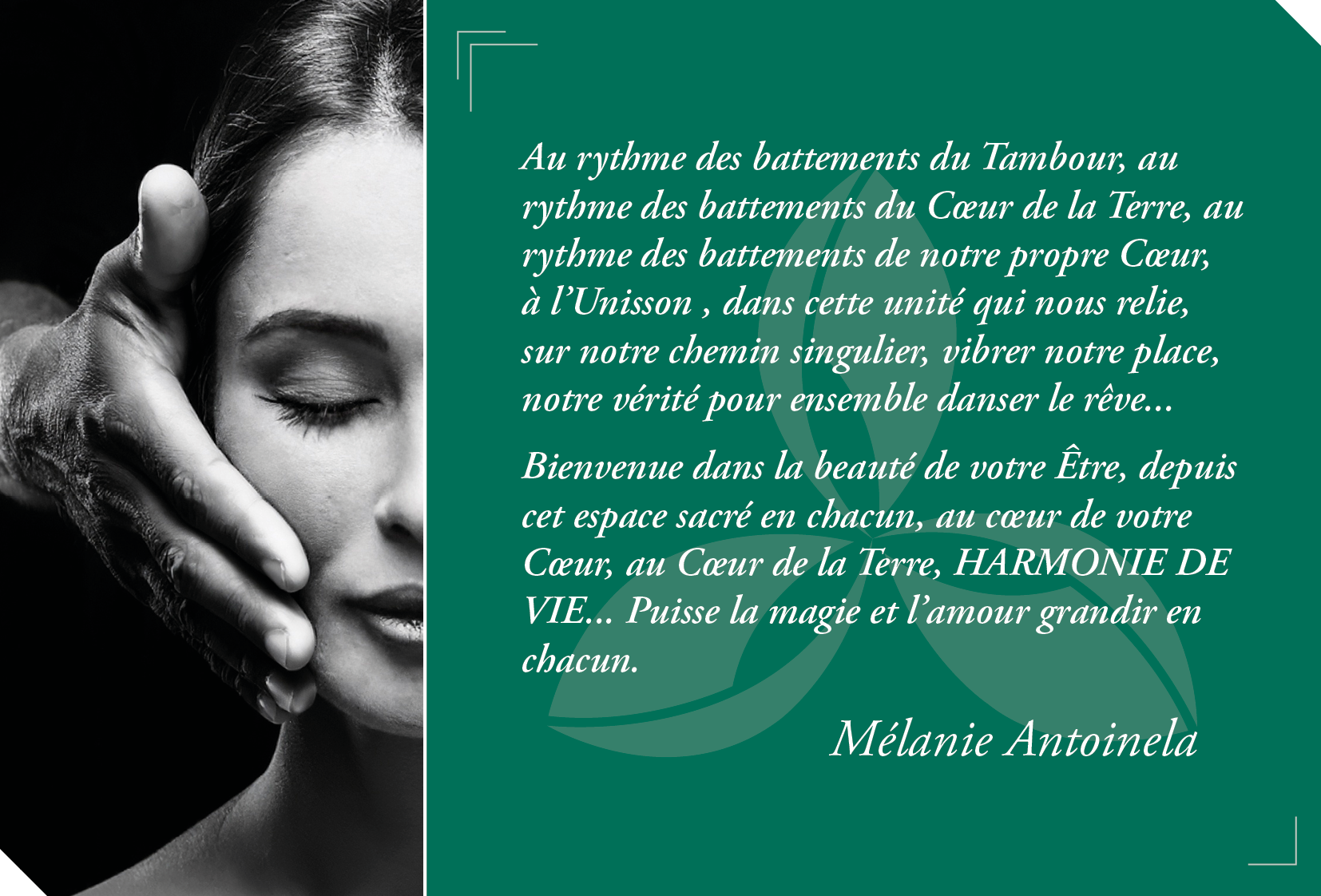 Citation Les Soins de l'Hetre